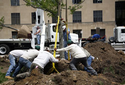 Commercial Landscaping factoring